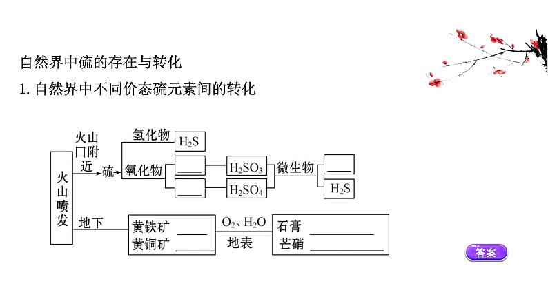 2020-2021学年高中化学新人教版必修第二册 第5章第1节硫及其化合物第3课时课件（37张）第3页