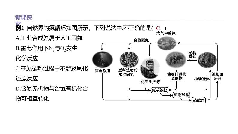 2020-2021学年高中化学新人教版必修第二册 第5章第2节氮及其化合物第1课时课件（29张）第6页