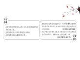 2020-2021学年高中化学新人教版必修第二册 第5章第3节无机非金属材料课件（56张）