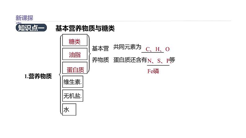 2020-2021学年高中化学新人教版必修第二册 第7章第4节基本营养物质第1课时课件（33张）第2页