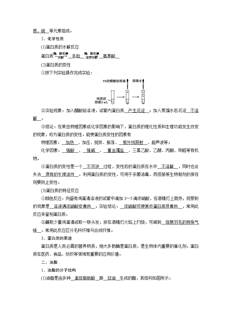 2020-2021学年高中化学新人教版必修第二册  第七章第四节 基本营养物质（第2课时） 学案2第2页