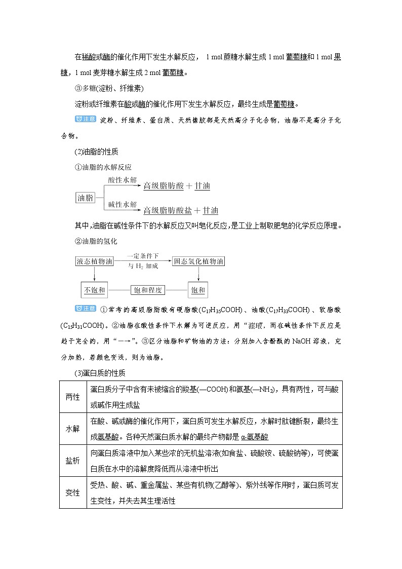 2022高考化学一轮复习教案：第9章 第3讲 基本营养物质　合成材料第2页