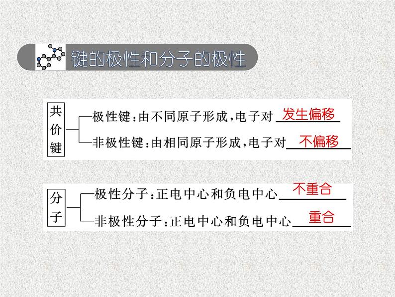 2021-2022学年高中化学新人教版选择性必修2 第二章 第三节 分子结构与物质的性质  课件（28张）第4页