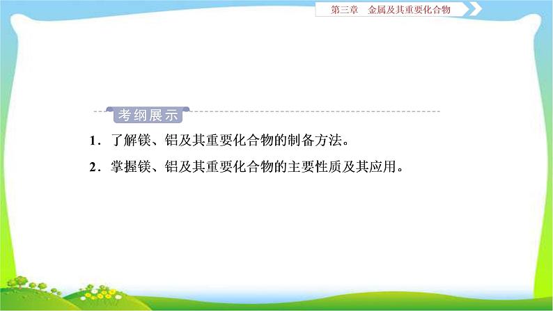 人教版高考化学总复习镁、铝及其重要化合物完美课件PPT02