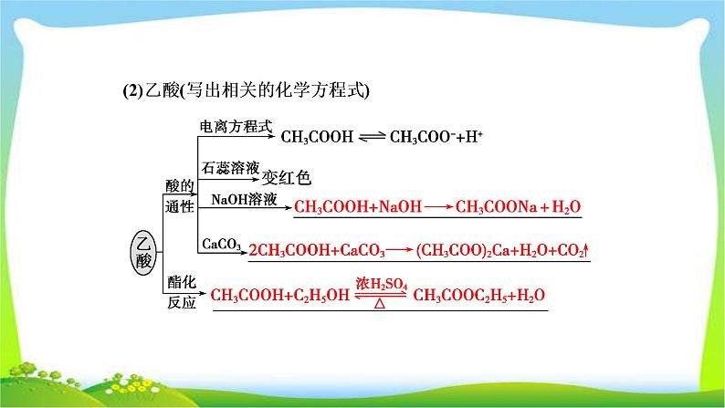 人教版高考化学总复习常见的有机物和基本营养物质完美课件PPT第5页