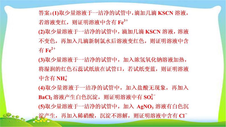 人教版高考化学总复习离子检验的答题规范及离子反应完美课件PPT第8页