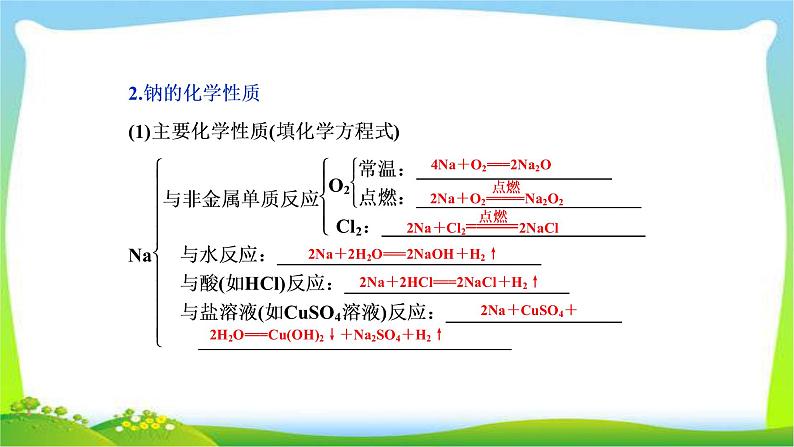 人教版高考化学总复习钠及其重要化合物完美课件PPT05