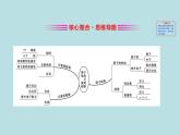 必修2化學(xué)新教材魯科第一章原子結(jié)構(gòu)元素周期表階段復(fù)習(xí)課ppt_4