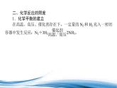 必修2化学新教材苏教版61第2课时化学反应的限度ppt_4