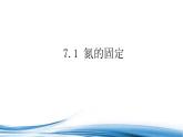 氮的固定PPT课件免费下载2023