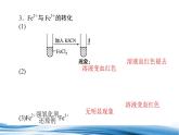 探究鐵及其化合物的轉(zhuǎn)化PPT課件免費(fèi)下載2023
