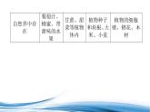 食品中的有机化合物PPT课件免费下载2023