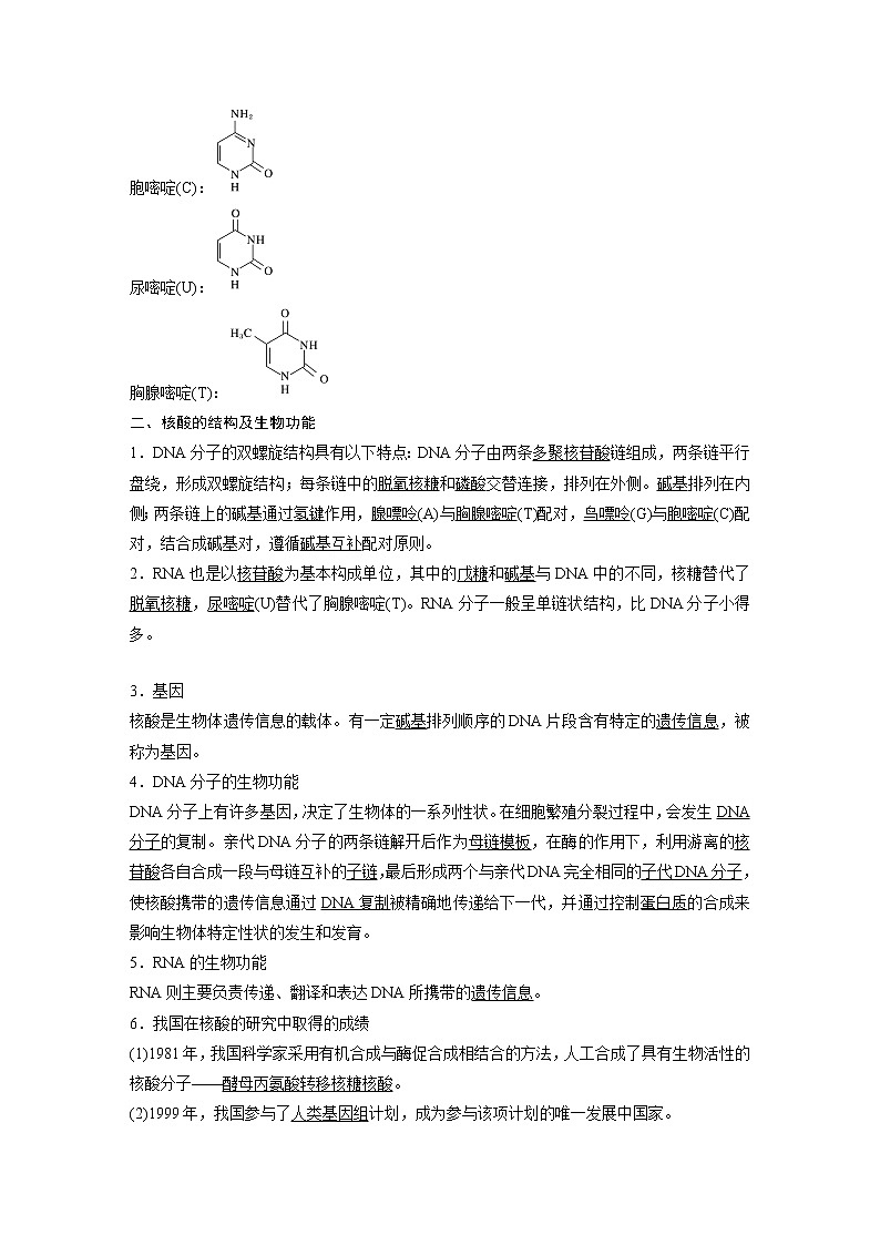 人教版（2019）高二化学选择性必修三   4.3 核酸学案02
