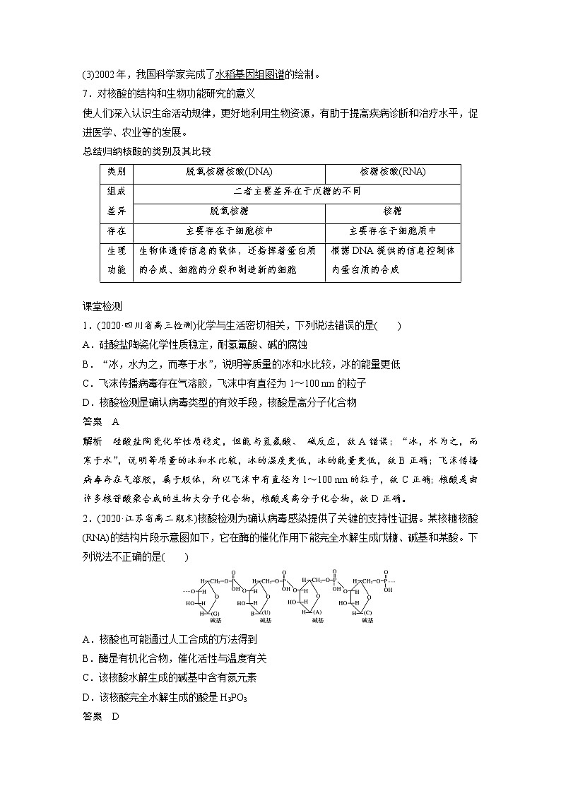 人教版（2019）高二化学选择性必修三   4.3 核酸学案03
