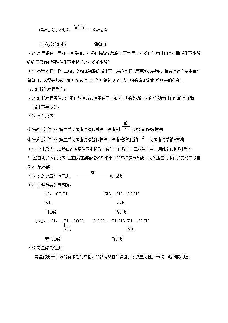 人教版高中化学必修二第10讲：基本营养物质学案第2页
