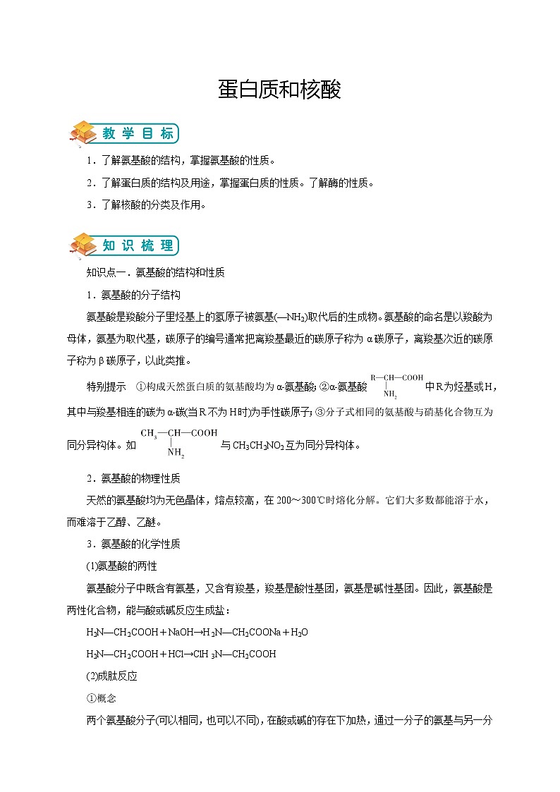 人教版高中化学选修五第14讲：蛋白质和核酸学案第1页