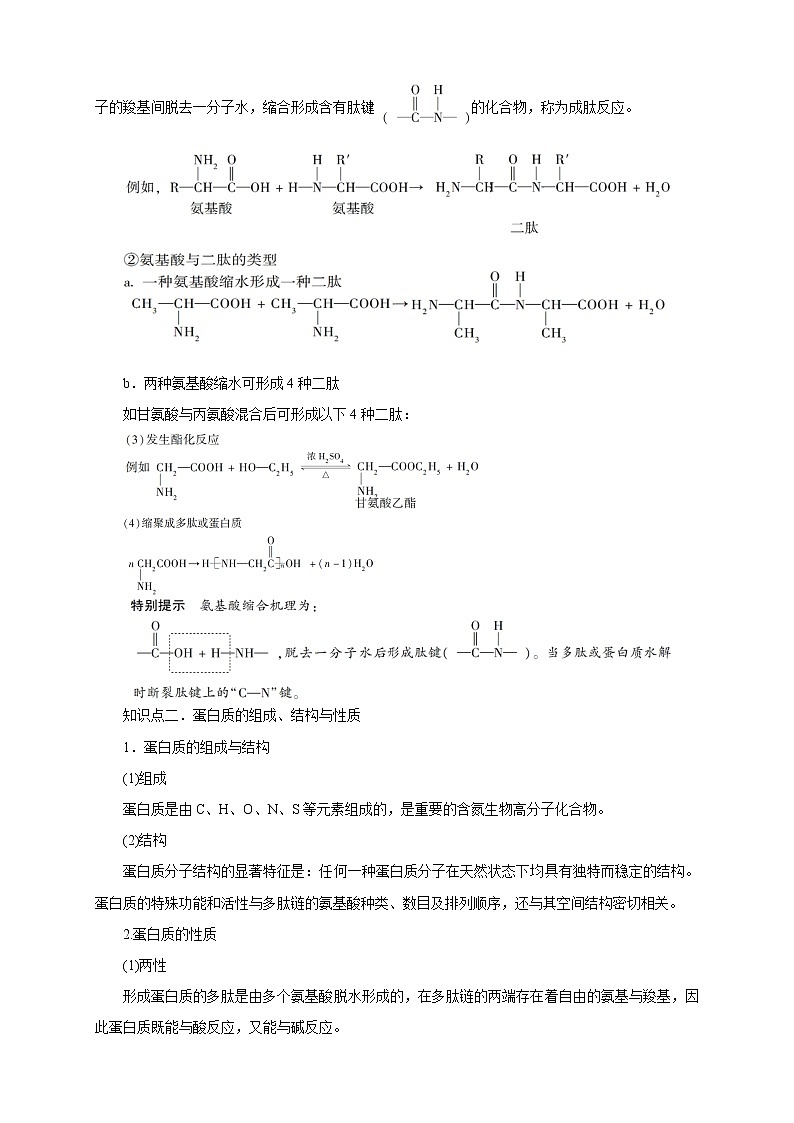 人教版高中化学选修五第14讲：蛋白质和核酸学案第2页