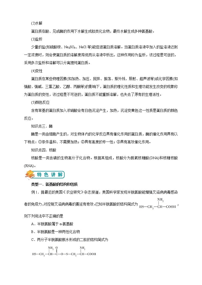 人教版高中化学选修五第14讲：蛋白质和核酸学案第3页