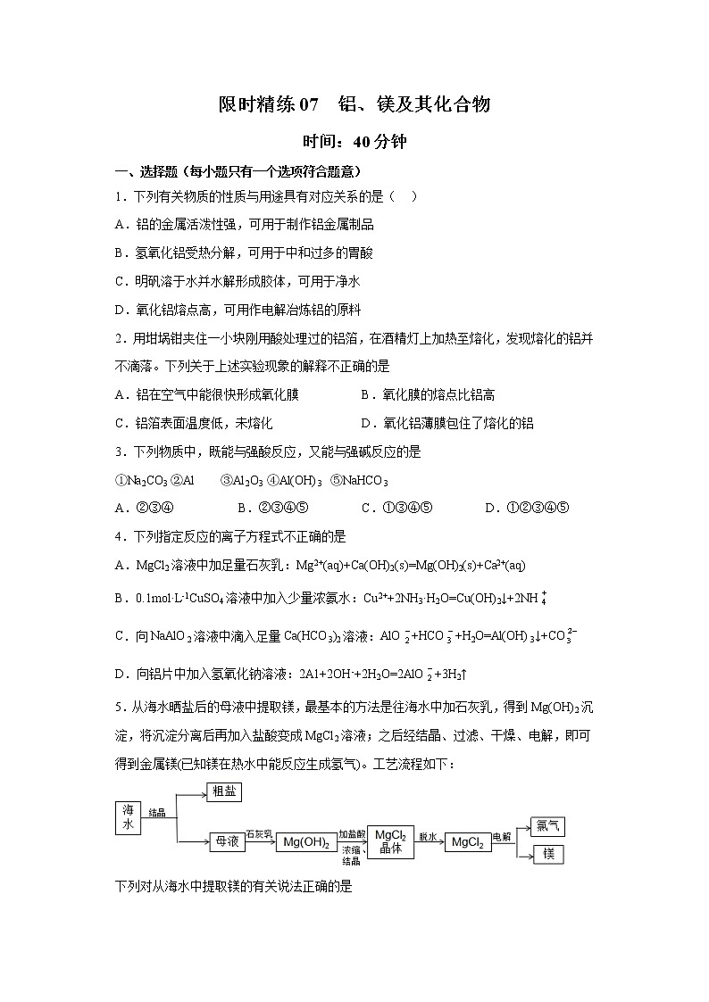 专题07 铝、镁及其化合物（限时精练）-2022年高三毕业班化学常考点归纳与变式演练（原卷版）第1页