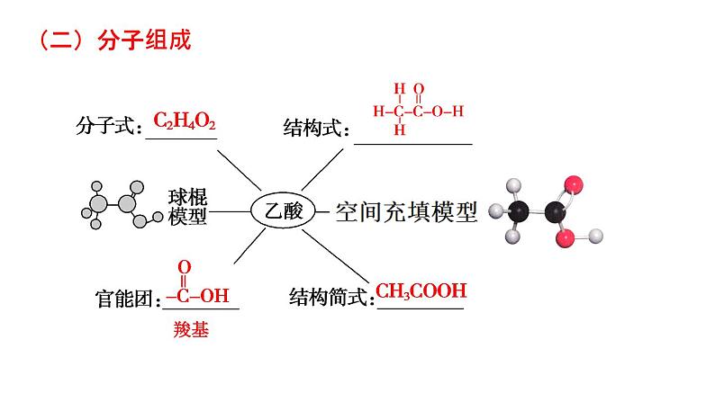 第七章有机化合物第三节乙醇与乙酸第二课时-天津市第二十一中学2020-2021学年人教版（2019）高中化学必修二课件PPT第4页