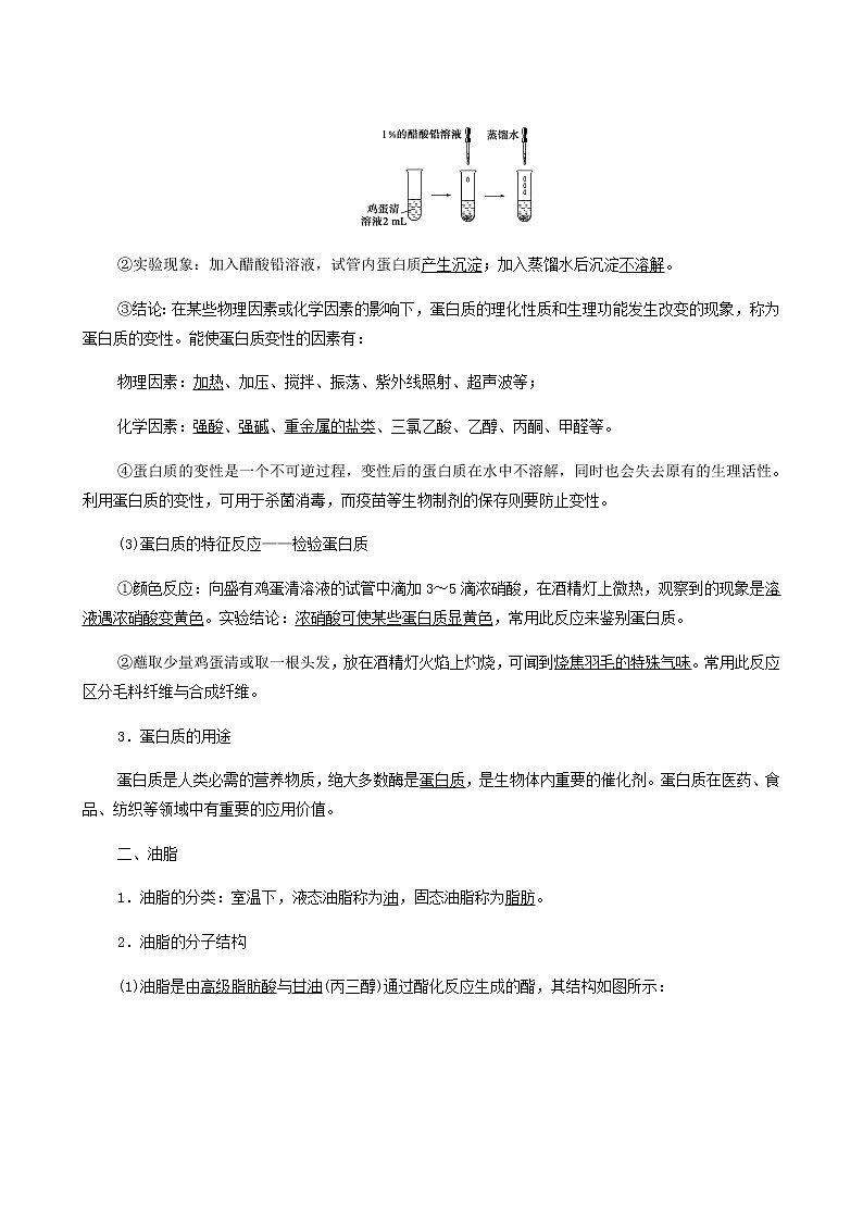 人教版 (2019)必修二 第7章 有机化合物 第4节 第2课时 蛋白质油脂04学案02