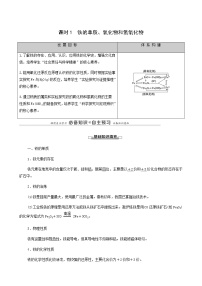 人教版 (2019)必修 第一册第一节 铁及其化合物学案