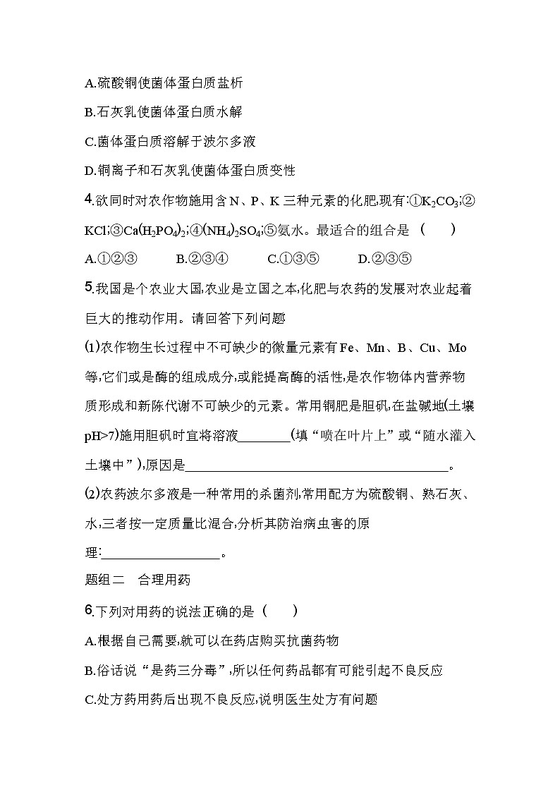 第二节　化学品的合理使用-2022版化学必修第二册人教版（2019） 同步练习 （Word含解析）第2页
