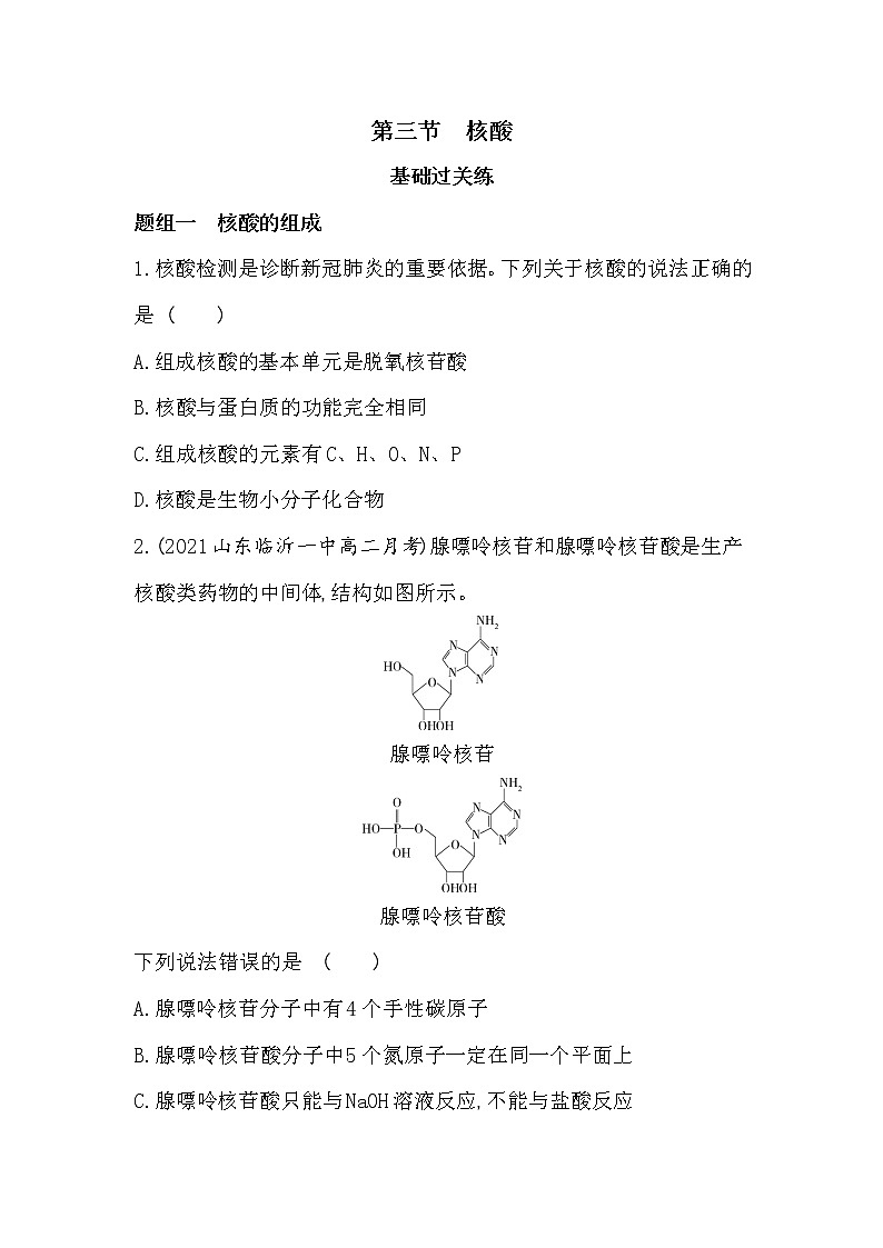 第三节  核酸-2022版化学选择性必修3人教版（2019） 同步练习 （Word含解析）01