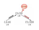 3.2.1醇酚醇课件【新教材】新人教版高二化学选择性必修三