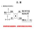 3.3.2醛酮酮课件【新教材】新人教版高二化学选择性必修三