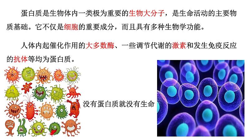 4.2蛋白质1课件【新教材】新人教版高二化学选择性必修三03