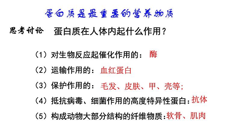 4.2蛋白质1课件【新教材】新人教版高二化学选择性必修三05