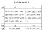 4.2蛋白质2课件【新教材】新人教版高二化学选择性必修三