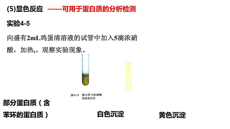 4.2蛋白质2课件【新教材】新人教版高二化学选择性必修三08