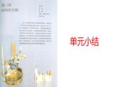 第3章烃的衍生物单元小结课件【新教材】新人教版高二化学选择性必修三
