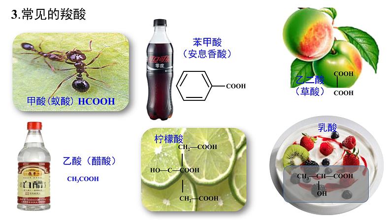 3.4.1羧酸羧酸衍生物羧酸课件【新教材】新人教版高二化学选择性必修三第4页