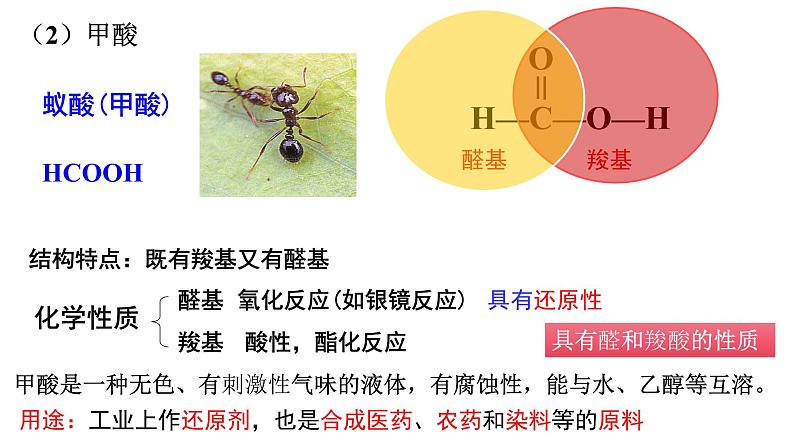 3.4.1羧酸羧酸衍生物羧酸课件【新教材】新人教版高二化学选择性必修三第6页