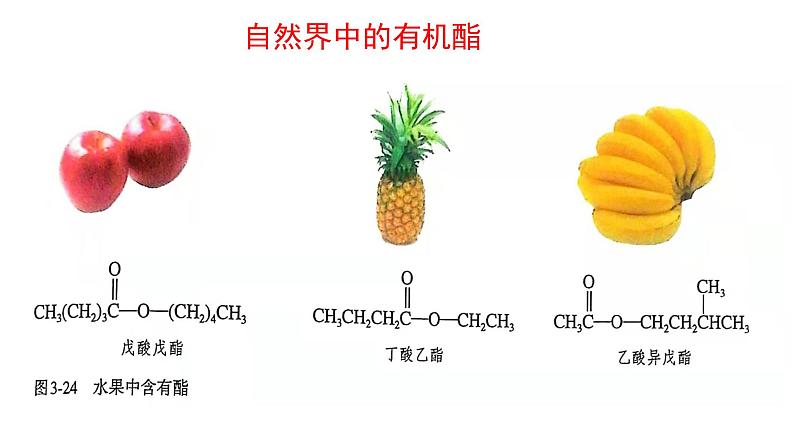 3.4.2羧酸羧酸衍生物酯课件【新教材】新人教版高二化学选择性必修三06