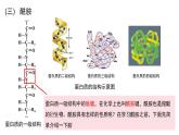 3.4.3羧酸羧酸衍生物酰胺课件【新教材】新人教版高二化学选择性必修三