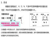 4.3核酸课件【新教材】新人教版高二化学选择性必修三