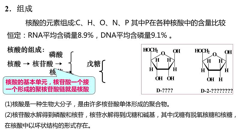 4.3核酸课件【新教材】新人教版高二化学选择性必修三05