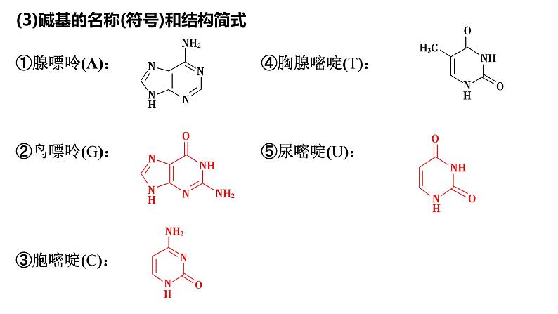 4.3核酸课件【新教材】新人教版高二化学选择性必修三06