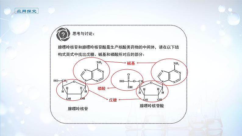 课件 4.3 核酸-高中化学选择性必修3（新教材同步课件 ）第7页