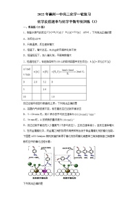 化学反应速率与化学平衡专项训练（2）-2022年襄州一中高三化学一轮复习