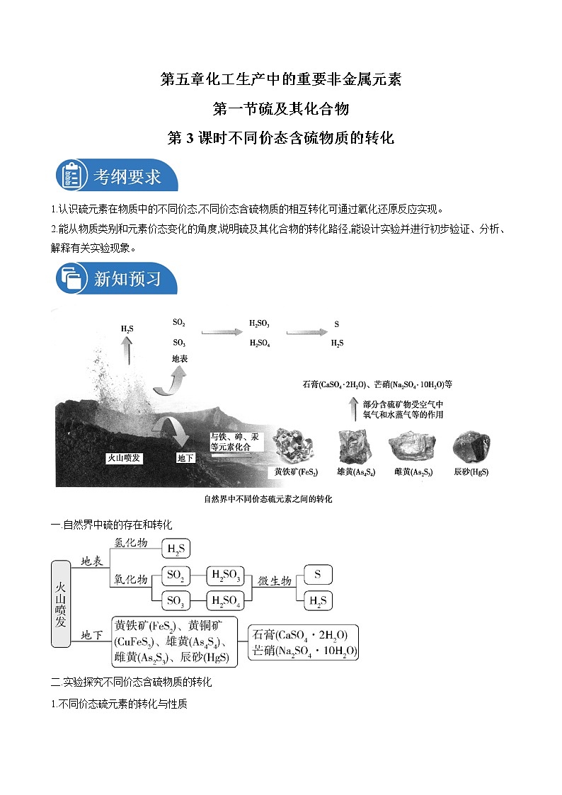 5.1.3 不同价态含硫物质的转化    导学案   高中化学新人教版必修第二册（2022年）01