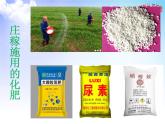 7.1 氮的固定 课件【新教材】2021-2022学年苏教版（2019）高一化学必修第二册