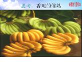 8.1.2 化石燃料与有机化合物乙烯 课件【新教材】2021-2022学年苏教版（2019）高一化学必修第二册（19张）