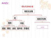 1.3烃（第3课时）课件-山东省滕州市第一中学2021-2022学年鲁科版（2019）高中化学选择性必修3