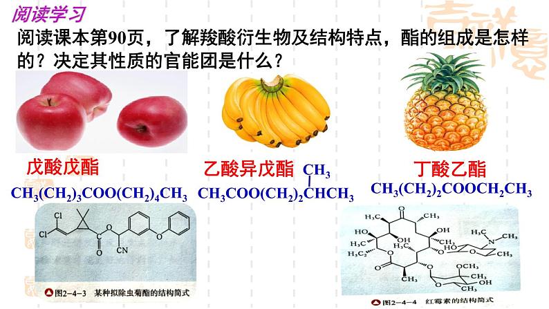 第2章第4节羧酸、氨基酸和蛋白质第2课时课件-山东省滕州市第一中学2021-2022学年鲁科版（2019）高中化学选择性必修3第6页