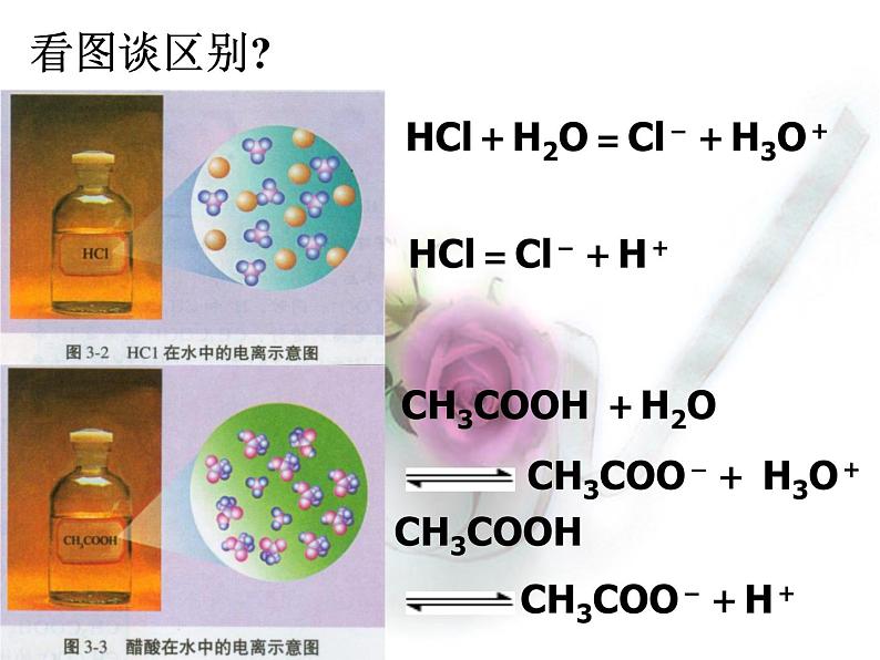 专题3 溶液中的离子反应第一单元弱电解质的电离平衡-TSst52k3课件PPT02